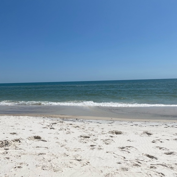 Meet your Posher, Maddie - Picture 1 of 2